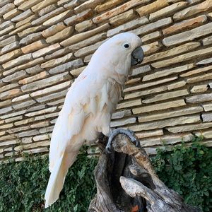 Meet your Posher, Mary